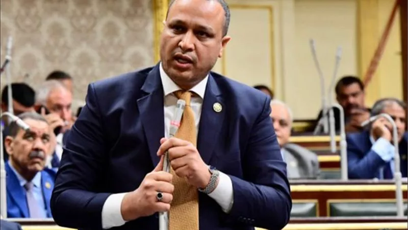 النائب محمد طلبة يشيد بتقرير لجنة الخطة والموازنة بالبرلمان