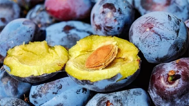 البرقوق يحمي من هشاشة العظام بعد الخمسين