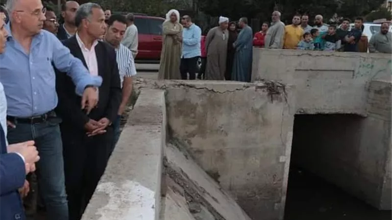 وزير الري ومحافظ بني سويف يتفقدان أعمال تأهيل وتبطين الترع