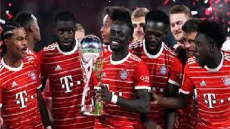بايرن ميونخ يلتقى ماينز.. مواعيد مباريات الدورى الالمانى اليوم