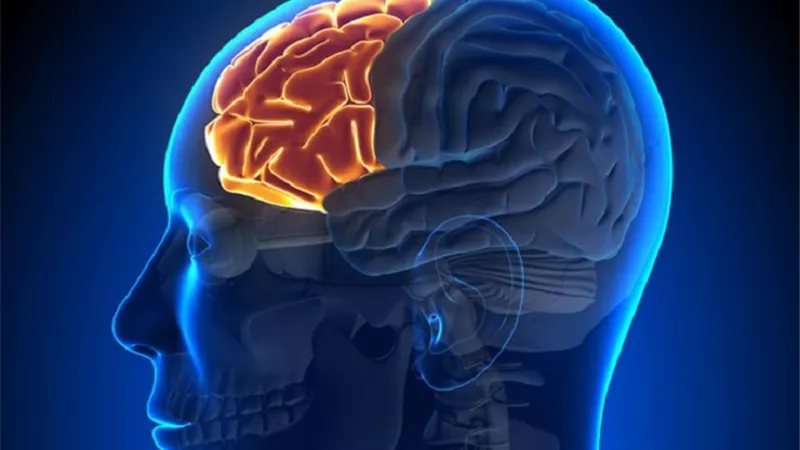 ما هو تأثير المواد المخدرة على وظائف المخ ؟ الصحة تكشف