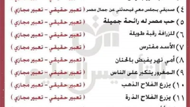 ابرز 60 سؤالا فى اللغة العربية للصف الرابع الابتدائى