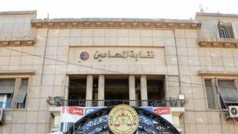 المحامين تصدر بيانًا بنتائج الاجتماع مع الأمين العام لمجلس الدولة
