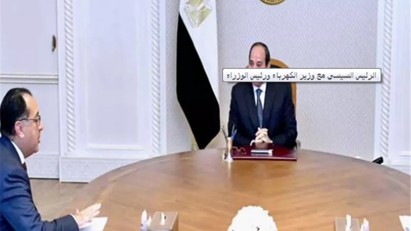 الرئيس السيسي يوجه باستمرار الاهتمام العالمي المتنامي بمشروعات الهيدروجين الأخضر