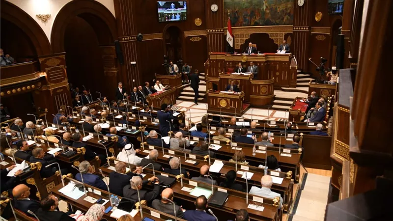 مجلس الشيوخ يبدأ الجلسة العامة