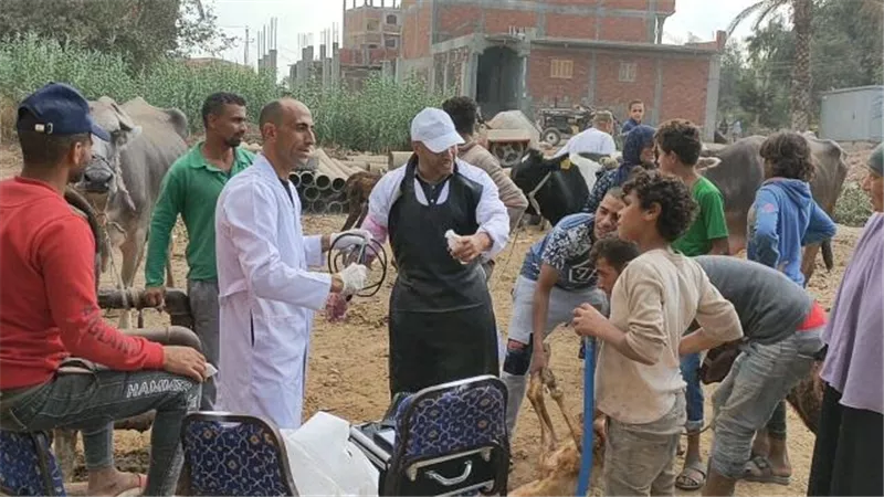 علاج 1920 رأس ماشية وطائر مجانا خلال قافلة طبية بقرية بالشرقية