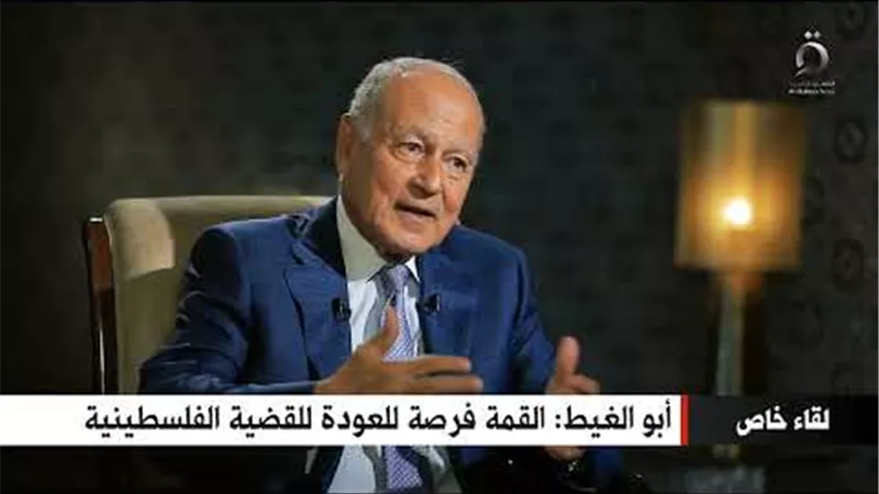 أحمد أبو الغيط: القمة العربية المنتظرة فرصة للعودة للقضية الفلسطينية