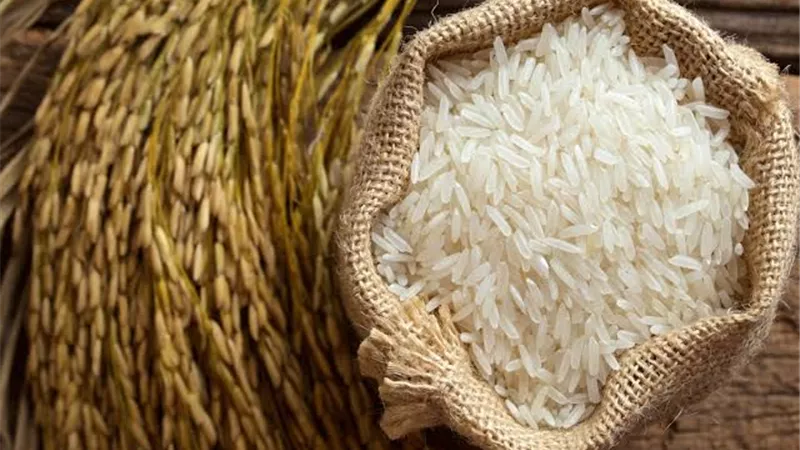 النيل للمجمعات الاستهلاكية تعلن ضخ 50 ألف طن أرز خلال شهرين