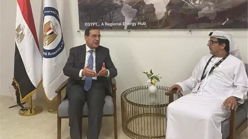 الملا يبحث مع مبادلة الإماراتية الفرص الاستثمارية بمجال الطاقة بمصر