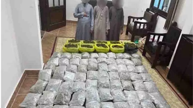 ضبط 300 كيلو هيدرو بـ7.5 مليون جنيه بجنوب سيناء