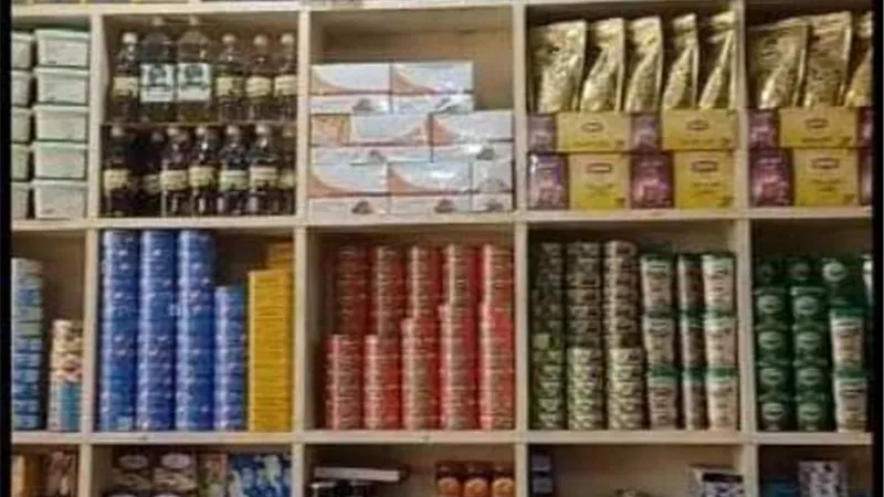 ١٧ ألفا و ٨٣٥ مشروعا للشباب بتكلفة ٢ مليار و٩٣٧ مليونا بالشرقية