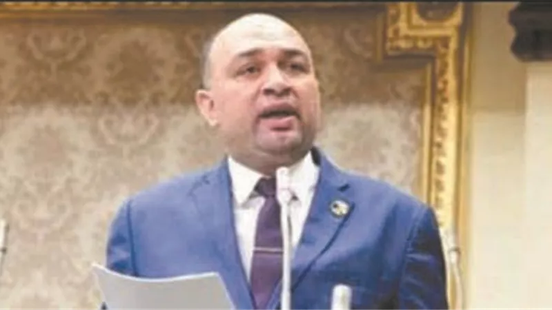 النائب أحمد أبو زيد