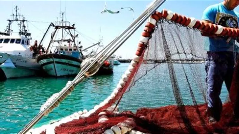 البيئة تحمي الأسماك من خطر التغيرات المناخية