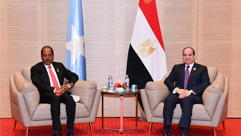 الرئيس السيسي يبدي استعداد مصر لمواصلة تقديم الدعم للصومال