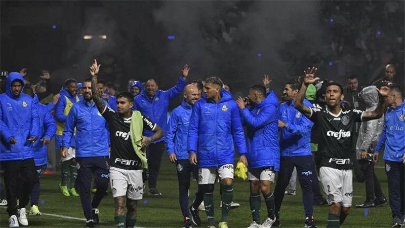 بالميراس يحصد لقب الدوري البرازيلي للمرة الـ11
