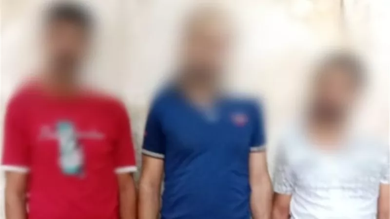 القبض على 3 أشخاص ضربوا سيدة في الغربية