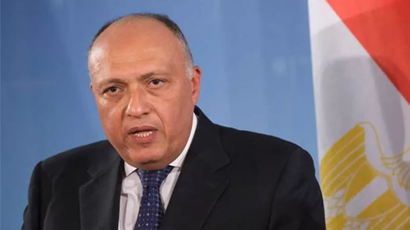وزير الخارجية: مصر تدافع عن مصالح الدول النامية في COP 27