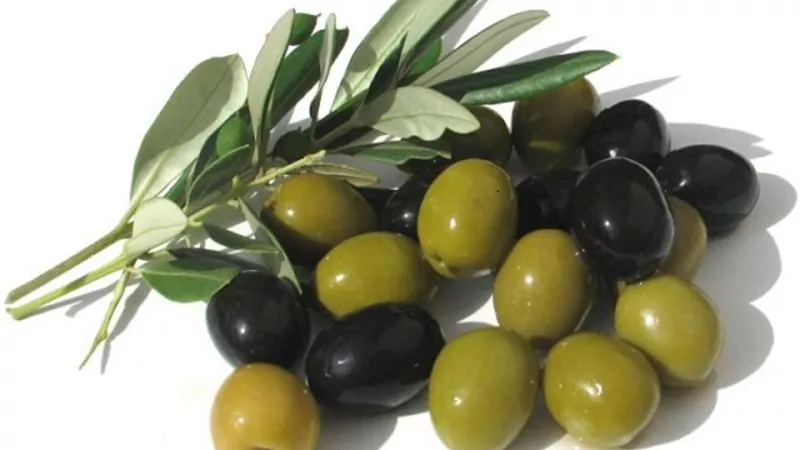فؤائد الزيتون سواء أخضر أو اسود