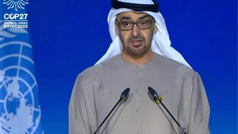 بن زايد: ندعم الخطاب المصري لوقف الحرب الروسية الأوكرانية