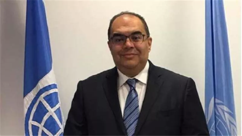 محيي الدين: تم البدء في تناول قضية توطين 