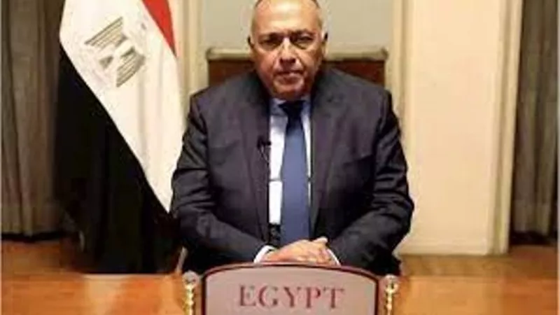 شكري: الرئاسة المصرية لـ