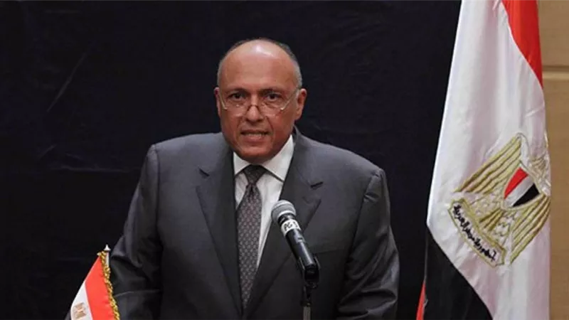 وزير الخارجية الباكستاني يدعو سامح شكرى لزيارة إسلام أباد
