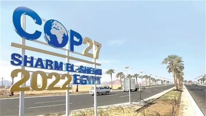 مركز القاهرة ينظم جلسة بمؤتمر cop27