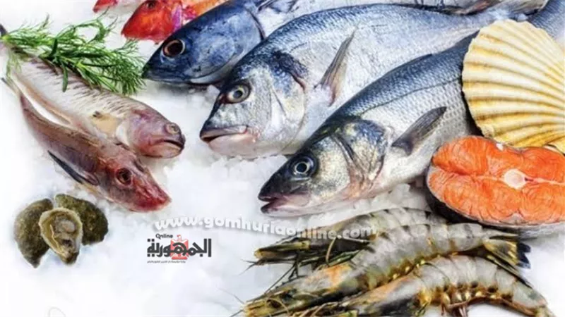 أسعار السمك اليوم الخميس 10-11-2022