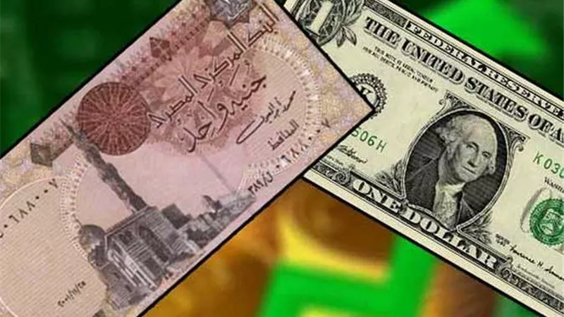استقرار أسعار الدولار مقابل الجنيه المصري في بداية تعاملات اليوم