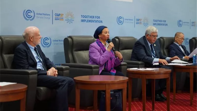 فؤاد: مصر تقدم رسالة للعالم بأهمية العلم كسلاح للتصدى لآثار التغيرات المناخية