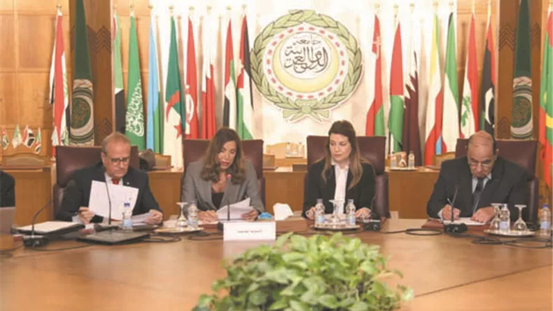 قومي المرأة خلال ورشة عمل أضرار ختان الإناث..وصلنا لـ 68 مليون مواطن