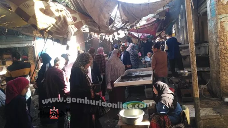حركة طبيعية ورواج بأسواق الإسماعيلية و السمك أكلة الجمعة المفضلة صور