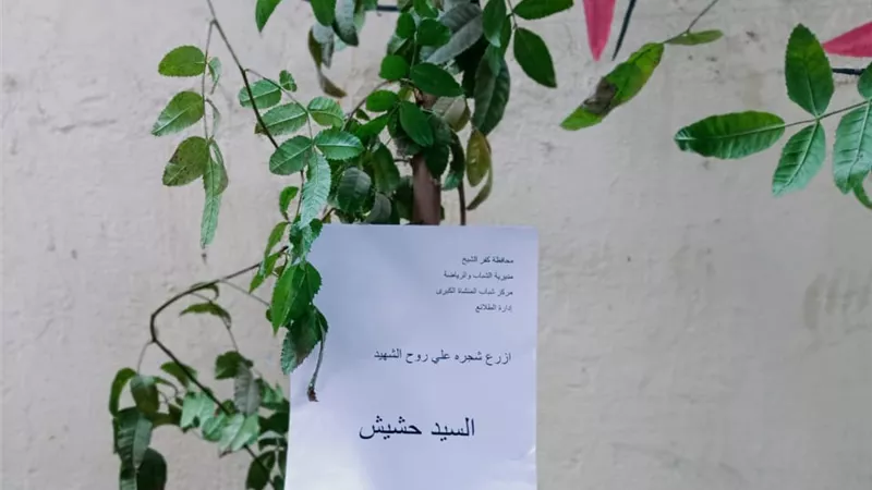 أطفال يشاركون في مبادرة «حديقة الوفاء» لزراعة الأشجار بأسماء الشهداء