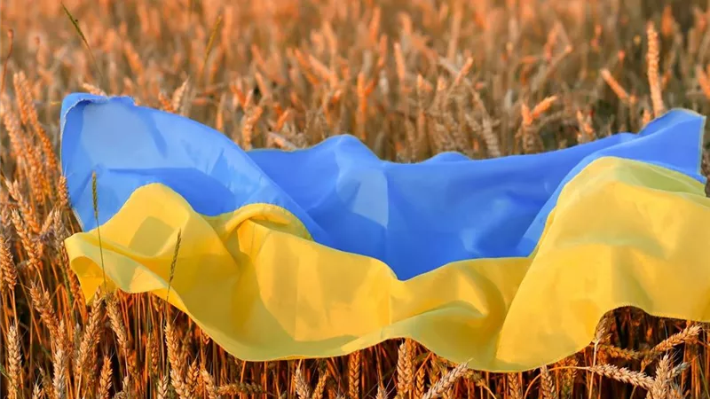 شولتز وزيلينسكي يدعوان لتمديد صفقة تصدير الحبوب الأوكرانية