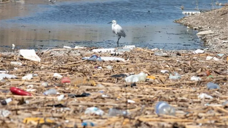 على هامش مؤتمر المناخ..إليك حكم تلويث المياه والشوارع بالقمامة