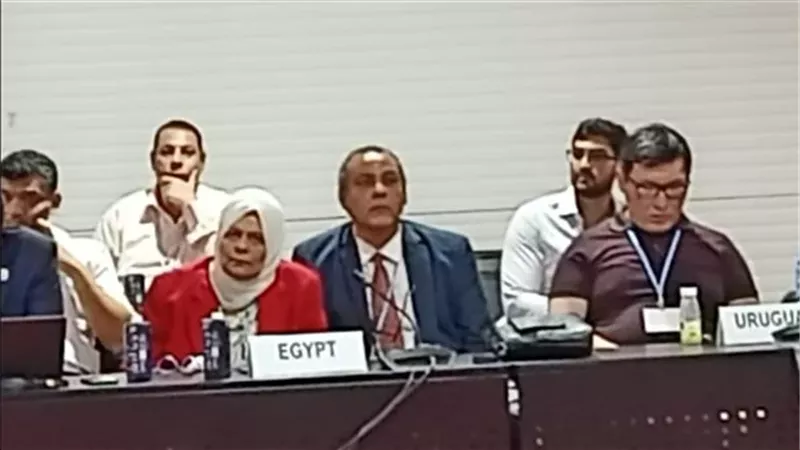 خفض الإنبعاثات الكربونية في مجال الطيران واستخدام وقود الطائرات