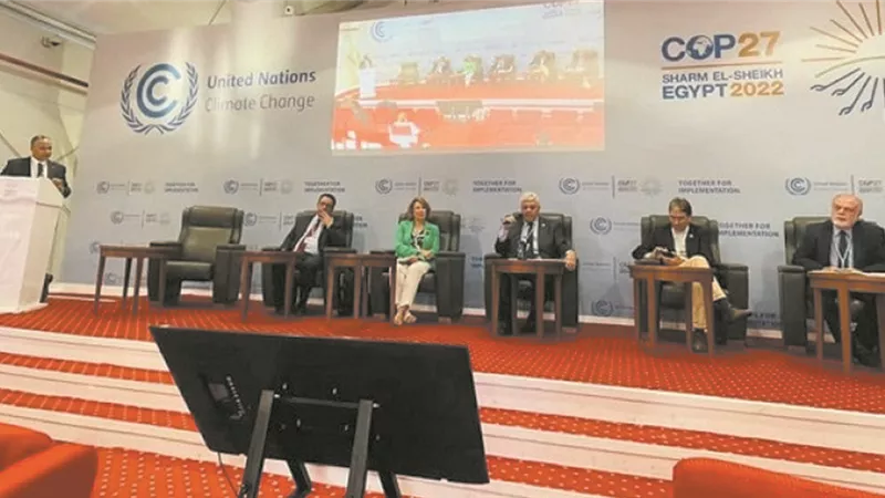 نطالب بإنشاء آليات وشراكات جديدة للتعاون العربي الأفريقي