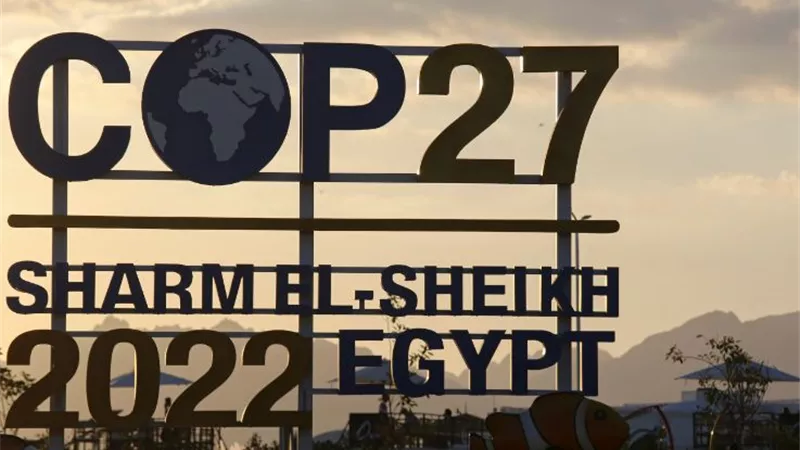 رئيس مدينة سفاجا يكرم الدكتور أحمد إبراهيم في إطار قمة المناخ
