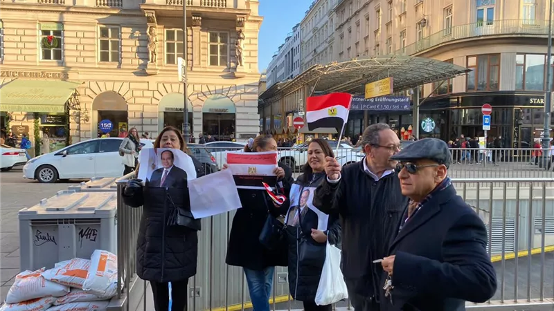 بالهتافات والاعلام..الجالية المصرية بفيينا تدعم مصر والرئيس السيسى