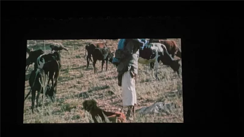 انطلاق عرض فيلم 