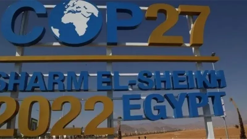 وزير البيئة التشيكي:إسراع الجهود الدولية لمواجهة الآثار الوخيمة لتغير المناخ
