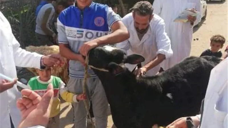 قافلة طبية بيطرية شاملة بالمجان بقرية شمبارة الطنانات