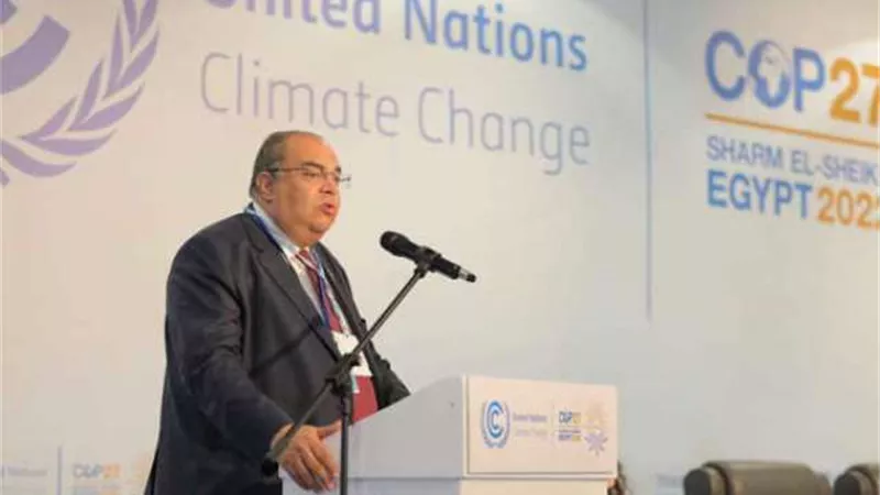 محيي الدين:لا بد من تعزيز دور القطاع الخاص لدفع العمل المناخي
