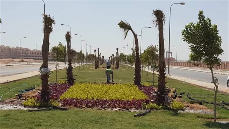 جهاز حدائق أكتوبر يواصل توزيع 1500 شجرة مثمرة على المواطنين