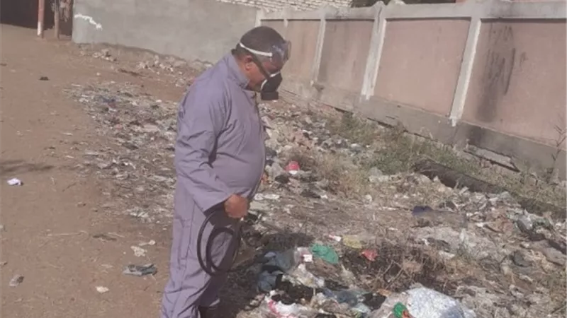 مديرية الصحة ببنى سويف تكثف جهودها لمكافحة انتشار الذباب المنزلي
