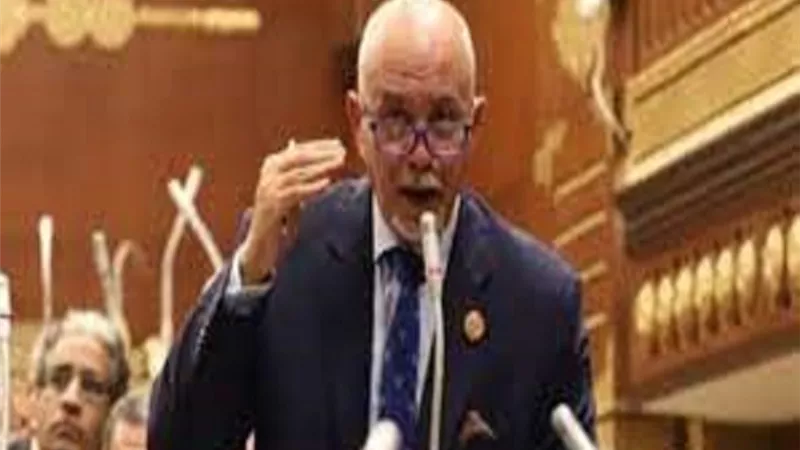 حازم الجندي 