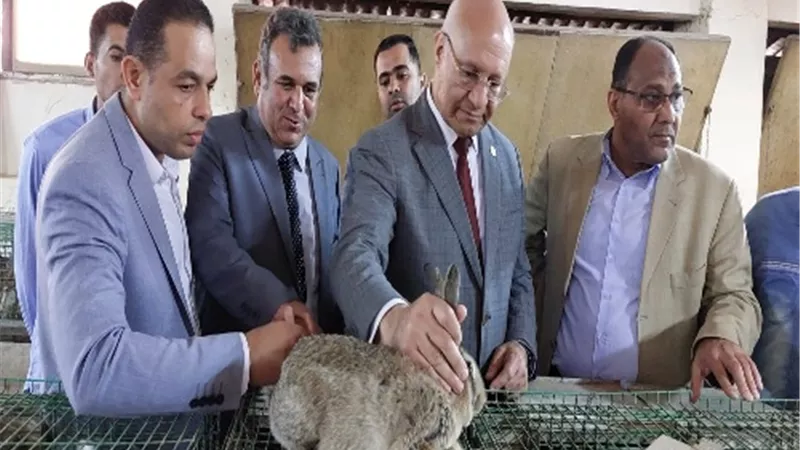 رئيس جامعة بنها يشارك المزارعين نثر بذور تقاوي القمح في الحقول.. صور