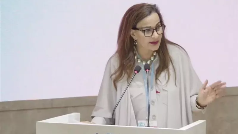 باكستان تستضيف اجتماعا حول الخسائر والأضرار في جناح الأمم المتحدة