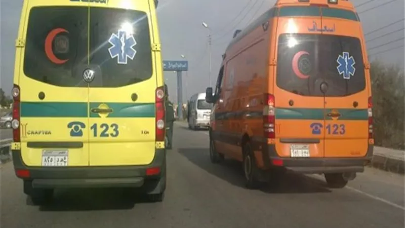 إصابة 12 عاملًا جراء انقلاب سيارة نقل بطريق توشكى جنوب أسوان
