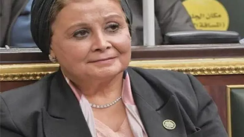 عبلة الالفى تتقدم باقتراح برغبة لزيادة محاور المشورة الاسرية